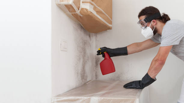 Professional Black Mold Remediation technician working in Robbinsville, NJ
