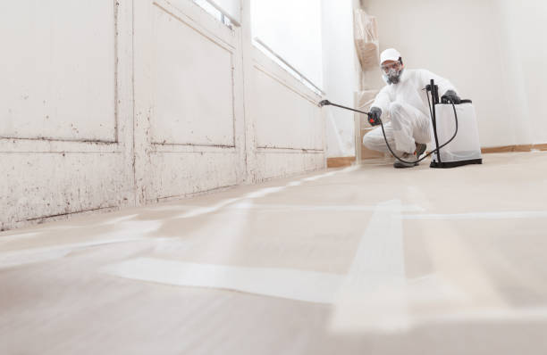 24/7 Emergency Black Mold Remediation experts in Robbinsville, NJ