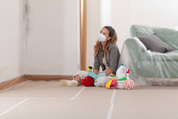 Reliable Black Mold Remediation contractor in Robbinsville, NJ by 24 Hour Mold Removal